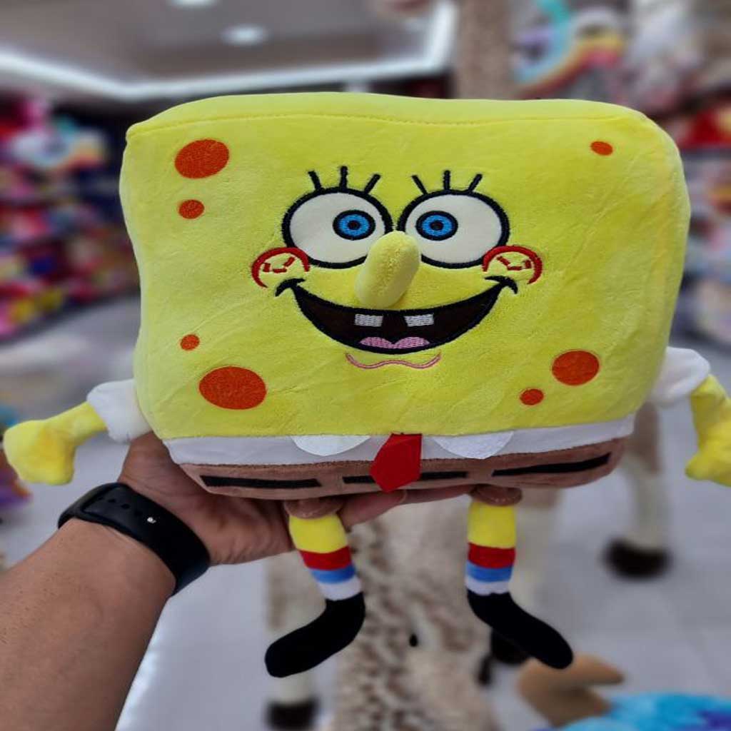 باب اسفنجی نانو