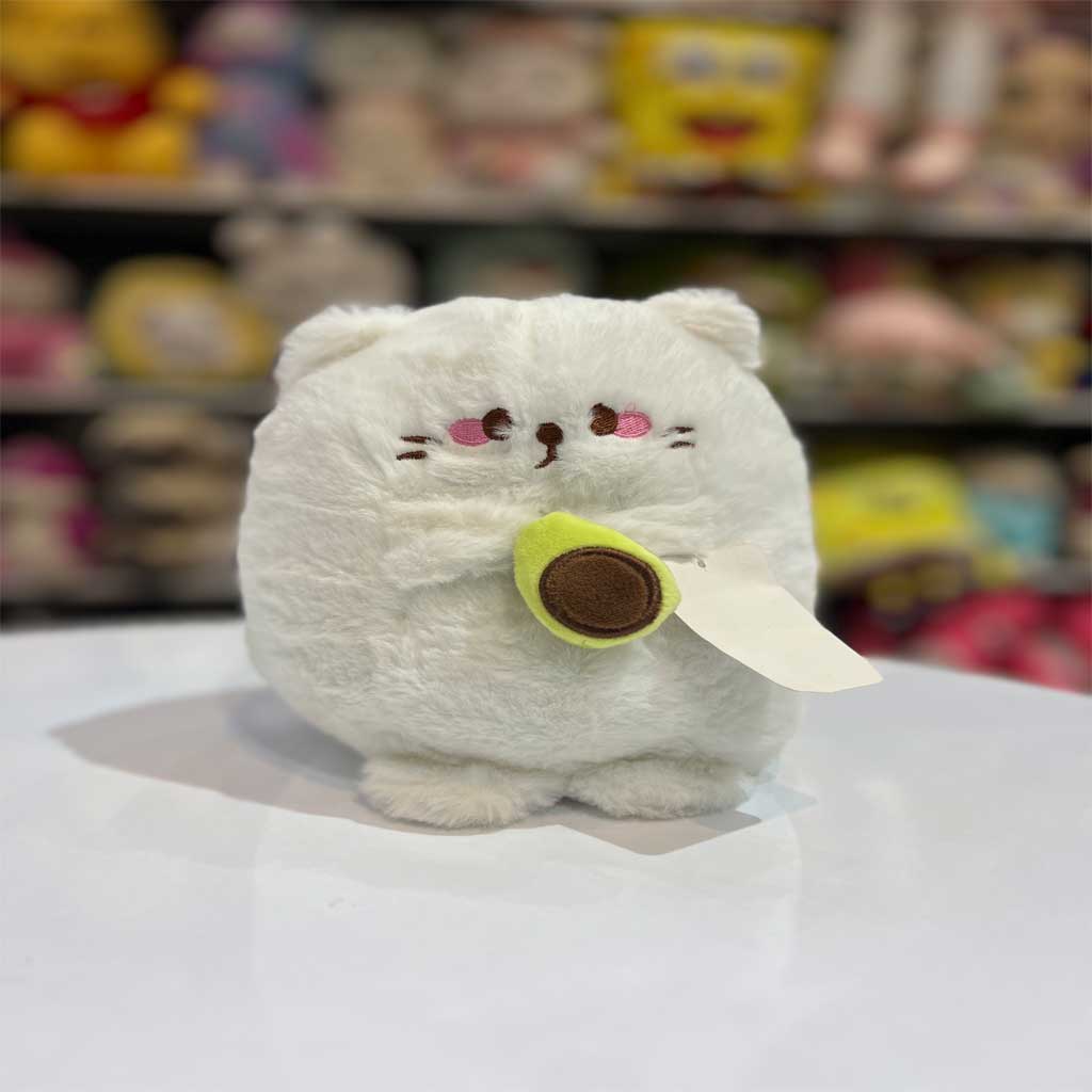گربه آووکادو به دست