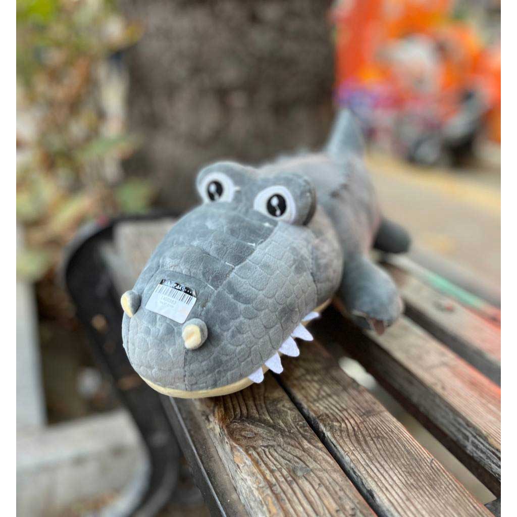 تمساح خوابیده