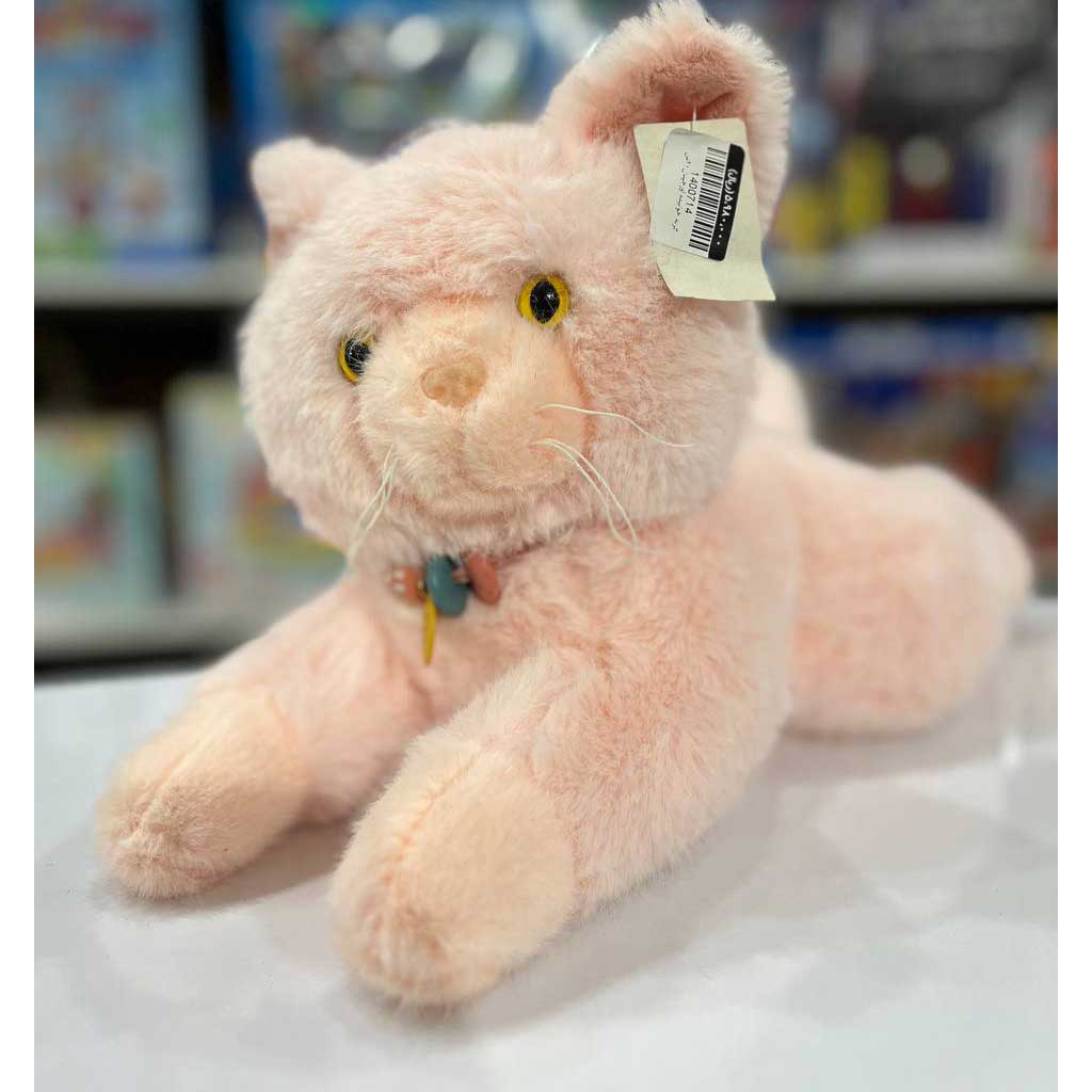 گربه خوابیده