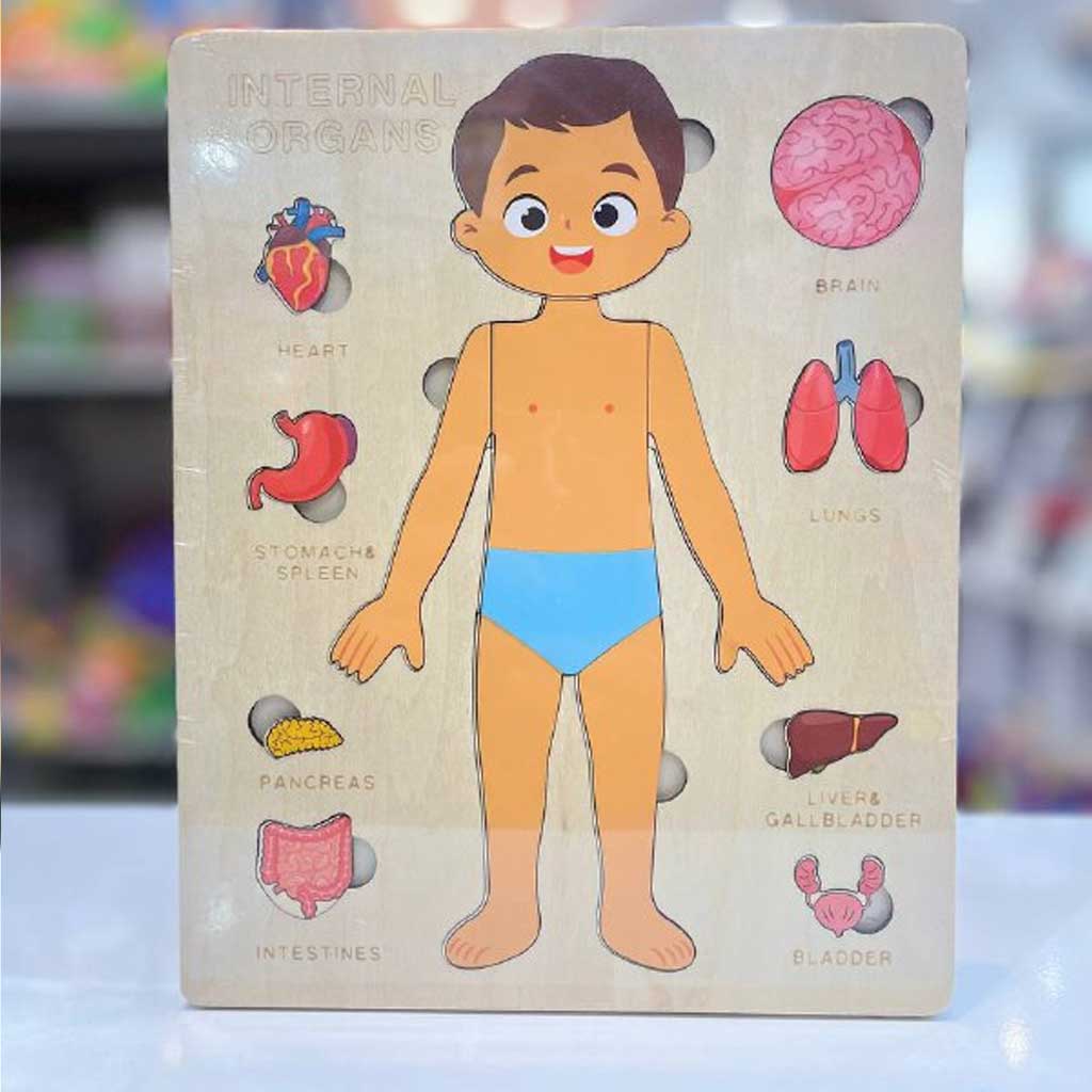 پازل آموزش اعضای بدن